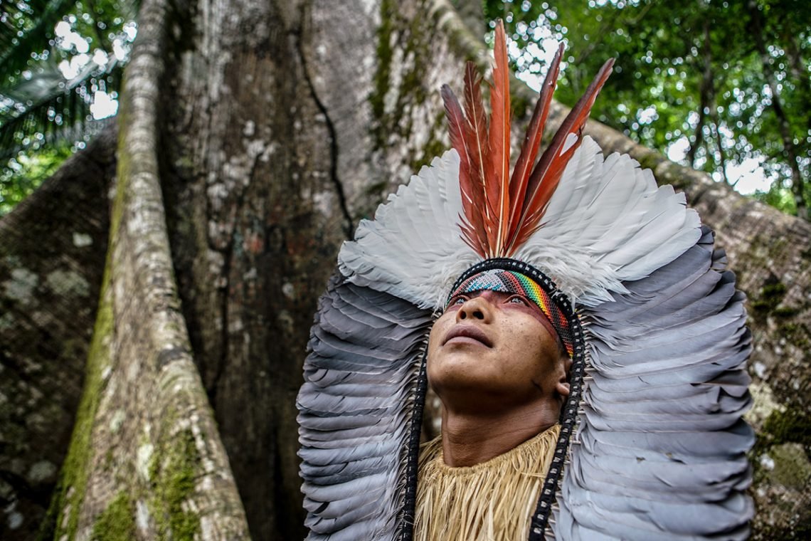 Is there a way to End the Destruction of the Amazon?